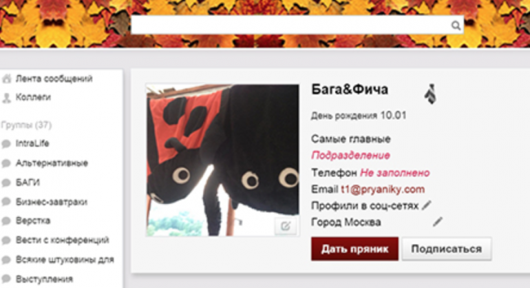 Пряники: Бага и Фича