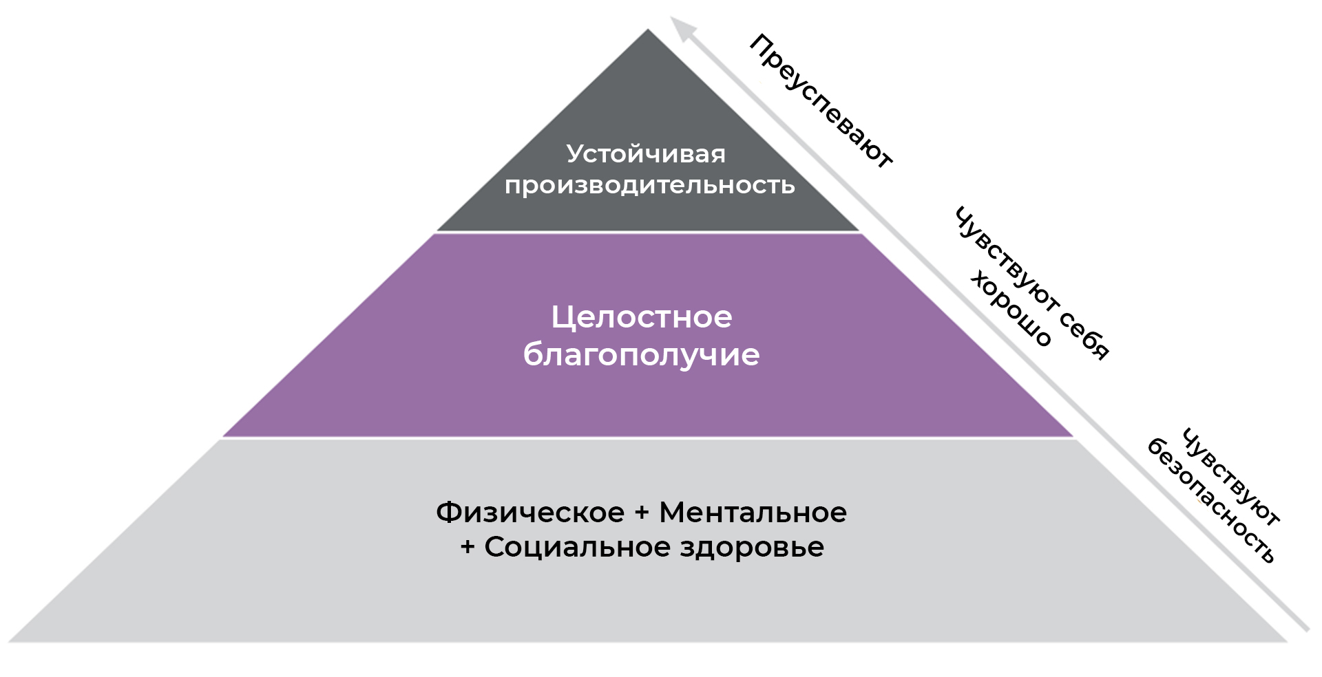 Здоровое и безопасное рабочее место